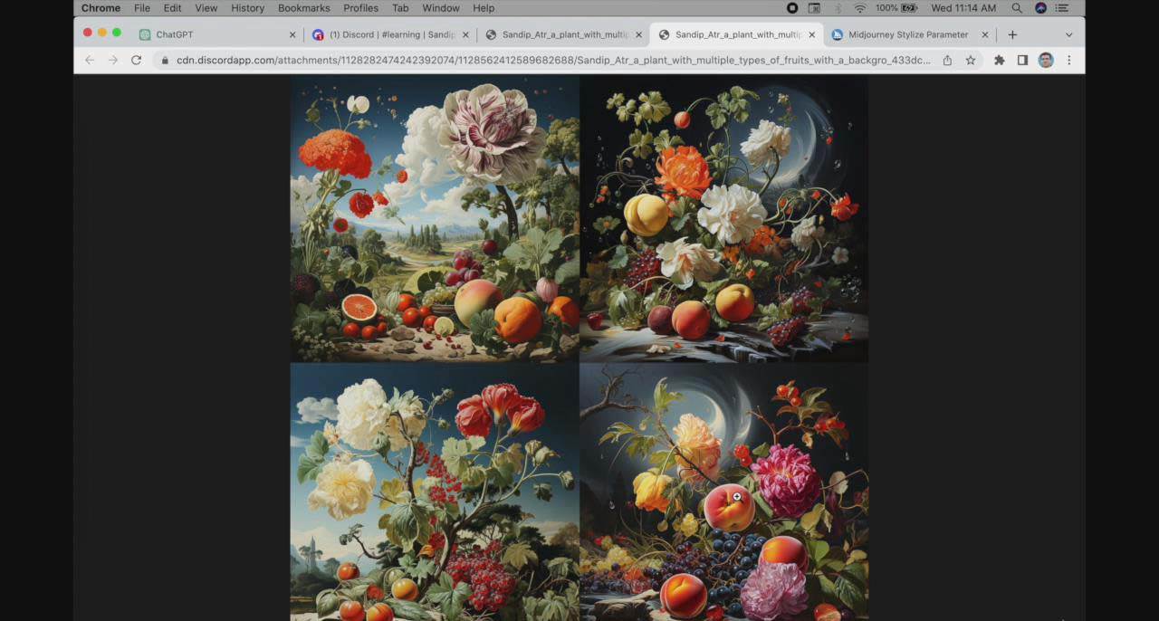 图片[3]-ChatGPT4 和 MidJourney AI 绘画聊天革命性指南教程-33节视频课-中英字幕-xx网创