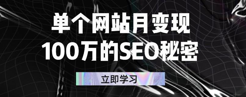 单个网站月变现100万的SEO秘密，百分百做出赚钱站点-学途在线