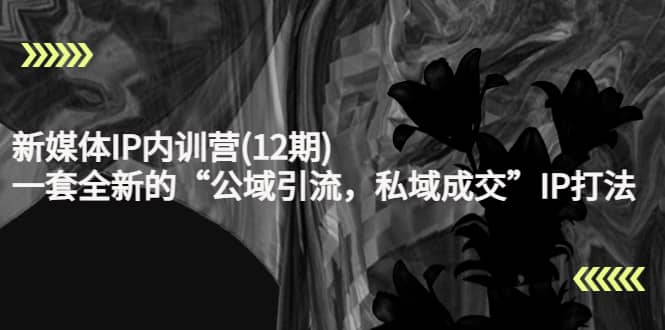 图片[1]-新媒体IP内训营(12期)，一套全新的“公域引流，私域成交”IP打法，直接带走-xx网创