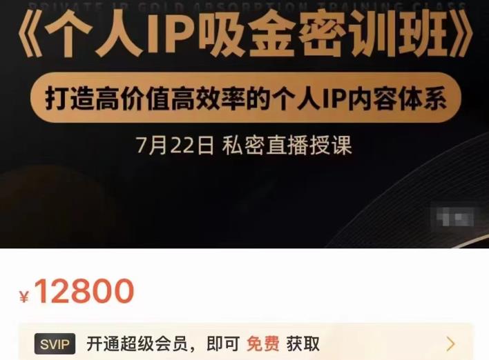 个人IP吸金密训班，打造高价值高效率的个人IP内容体系（价值12800元）-学途在线