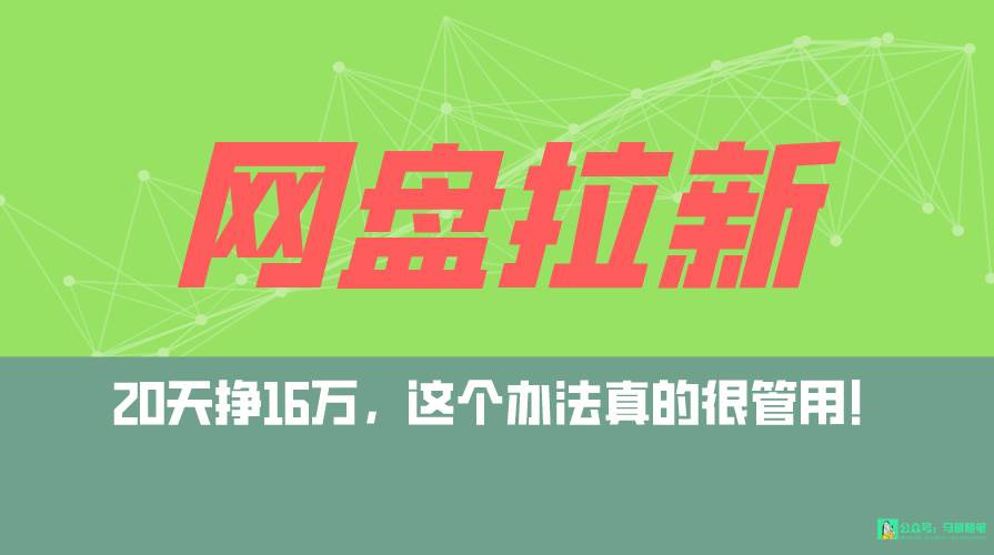 网盘拉新+私域全自动玩法，0粉起号，小白可做，当天见收益，已测单日破5000-学途在线