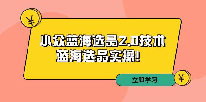 拼多多培训第33期：小众蓝海选品2.0技术-蓝海选品实操！-学途在线