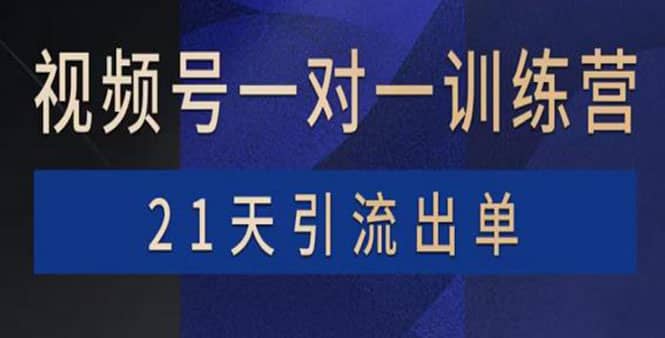 视频号训练营：带货，涨粉，直播，游戏，四大变现新方向，21天引流出单-学途在线