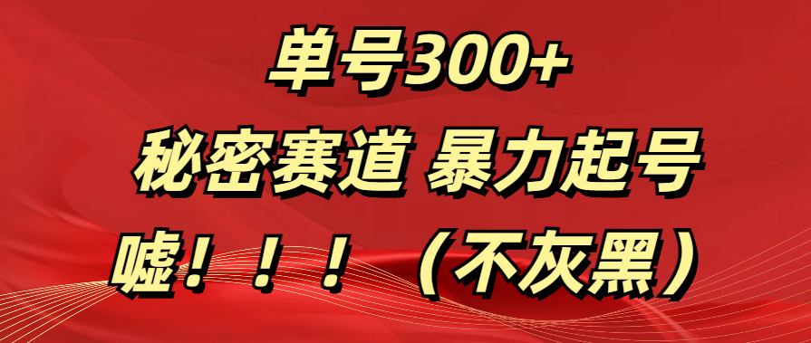 单号300+  秘密赛道 暴力起号  （不灰黑）-学途在线