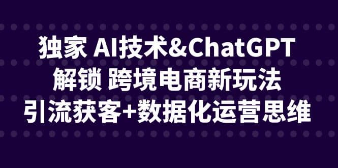 独家 AI技术ChatGPT解锁 跨境电商新玩法，引流获客+数据化运营思维-学途在线
