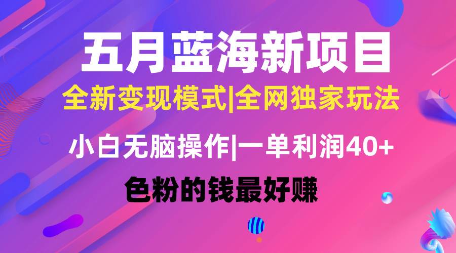 五月蓝海项目全新玩法，小白无脑操作，一天几分钟，矩阵操作，月入4万+-学途在线