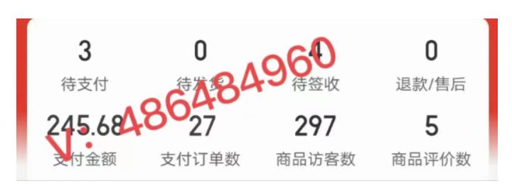 图片[2]-拼多多虚拟开店打卡群：新手到入门到精通-xx网创