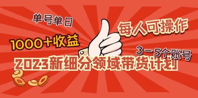 2023新细分领域带货计划：单号单日1000+收益不难，每人可操作3-5个账号-学途在线