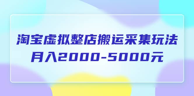 淘宝虚拟整店搬运采集玩法分享课：月入2000-5000元（5节课）-学途在线