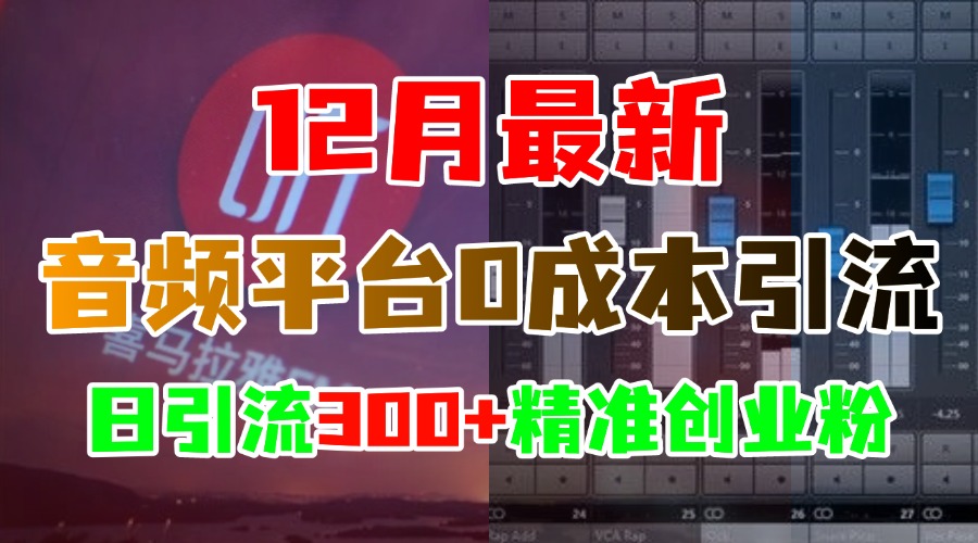 12月最新：音频平台0成本引流，日引300+精准创业粉-学途在线