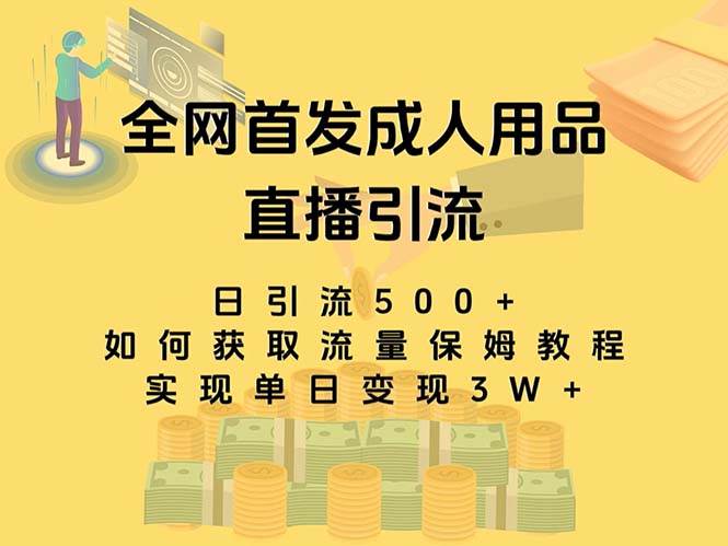 最新全网独创首发，成人用品直播引流获客暴力玩法，单日变现3w保姆级教程-学途在线