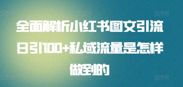 日引流100私域流量小红书图文是怎样做到的全面解析-学途在线