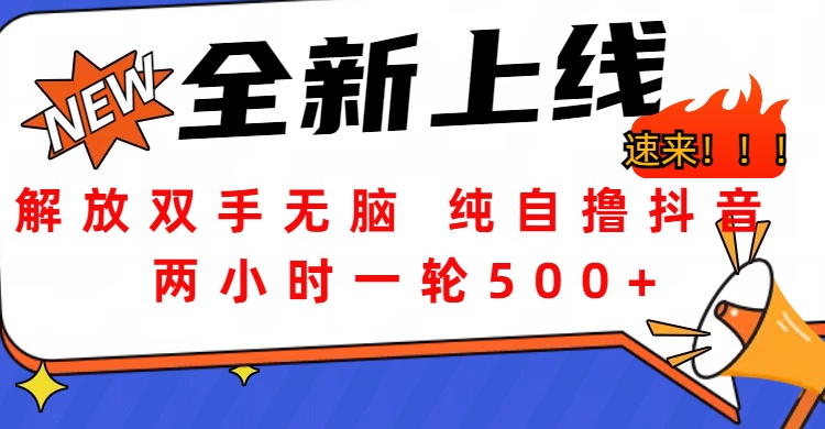 解放双手无脑 纯自撸抖音 两小时一轮500+-学途在线