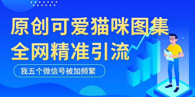 黑科技纯原创可爱猫咪图片，全网精准引流，实操5个VX号被加频繁-学途在线