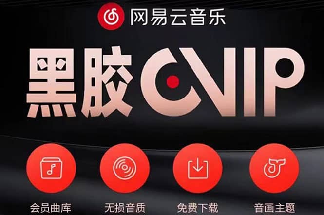 网易云撸黑胶年卡及变现方法，收益可无限放大-学途在线