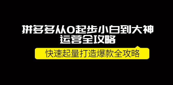拼多多从0起步小白到大神运营全攻略-学途在线
