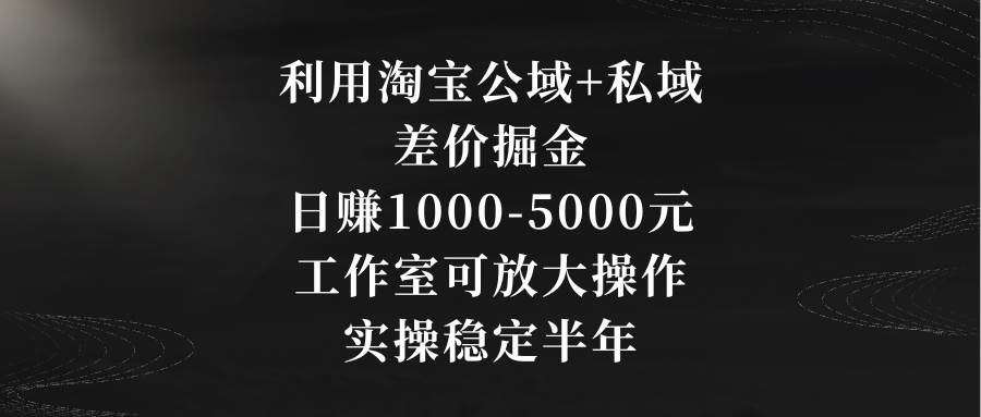利用淘宝公域+私域差价掘金，日赚1000-5000元，工作室可放大操作，实操…-学途在线