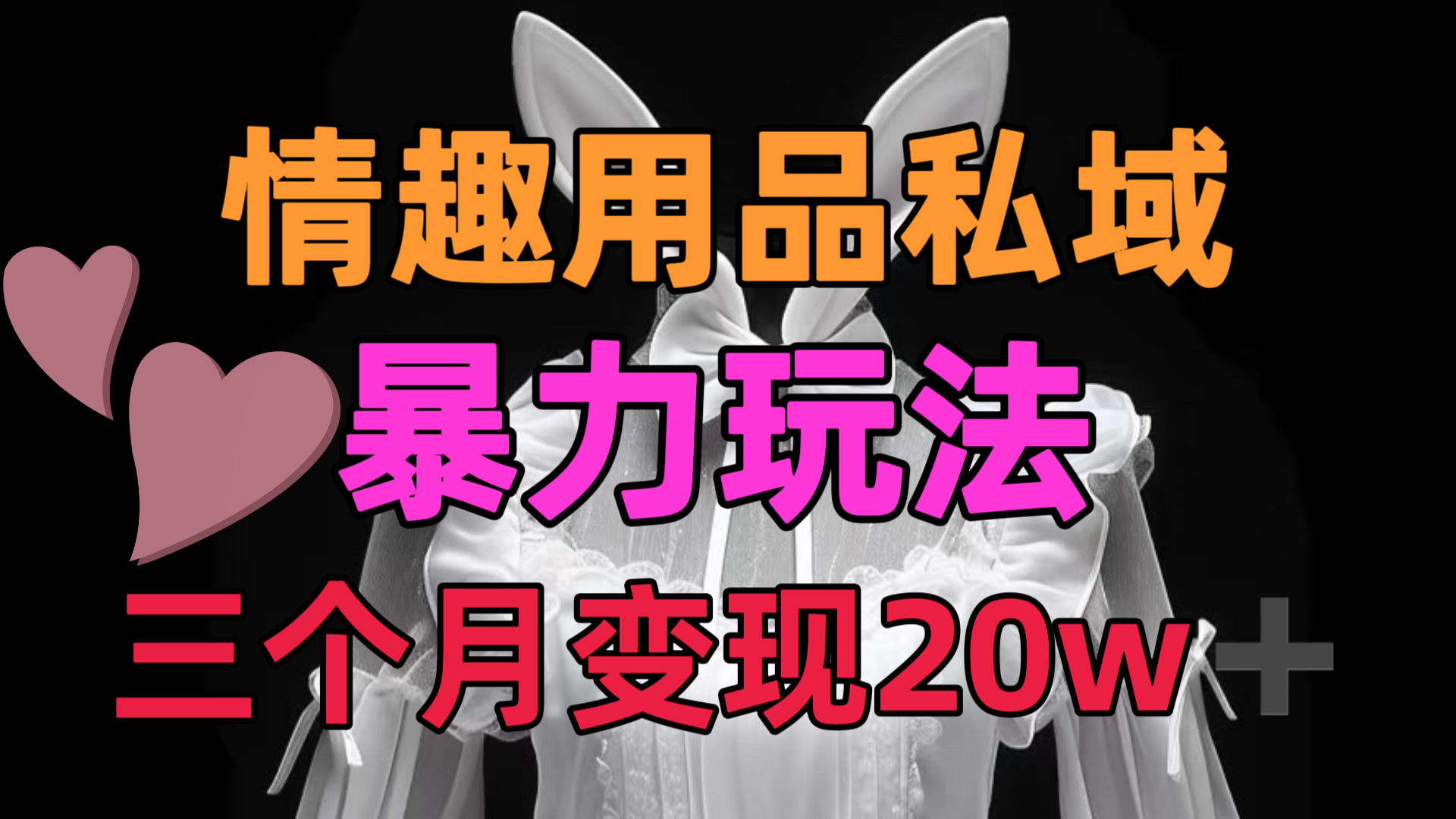 情趣用品私域，25年最新暴力玩法，三个月变现20w➕-学途在线