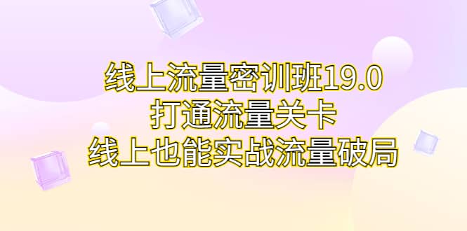 线上流量密训班19.0，打通流量关卡，线上也能实战流量破局-学途在线