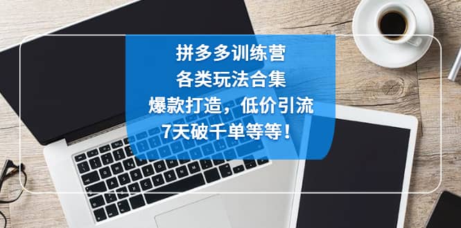 拼多多训练营：各玩法合集，爆款打造，低价引流，7天破千单等等-学途在线