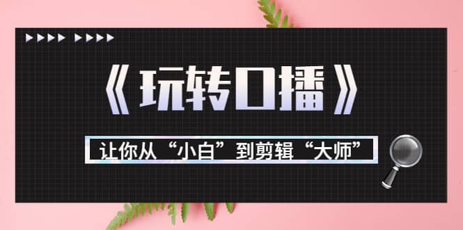 月营业额700万+大佬教您《玩转口播》让你从“小白”到剪辑“大师”-学途在线