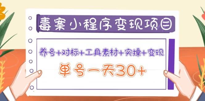 毒案小程序变现项目：养号+对标+工具素材+实操+变现-学途在线
