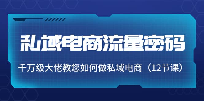 私域电商流量密码：千万级大佬教您如何做私域电商（12节课）-学途在线