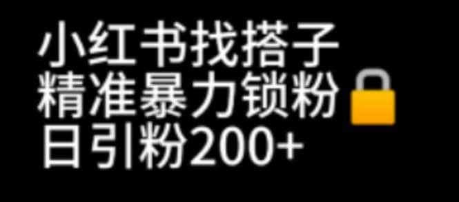 小红书找搭子暴力精准锁粉+引流日引200+精准粉-学途在线