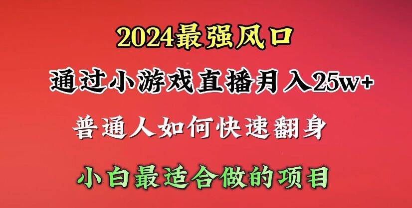 2024年最强风口，通过小游戏直播月入25w+单日收益5000+小白最适合做的项目-学途在线
