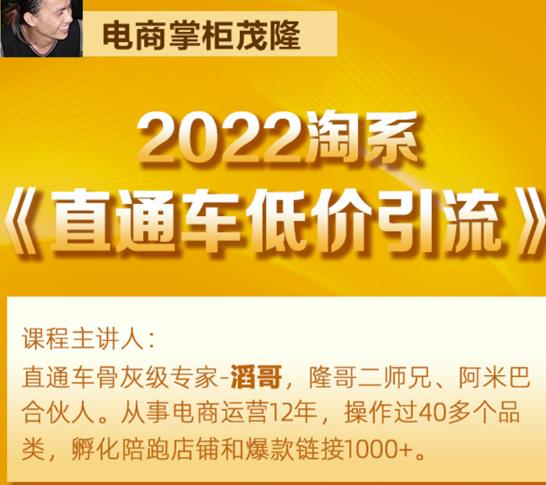 茂隆2022直通车低价引流玩法，教大家如何低投入高回报的直通车玩法-学途在线
