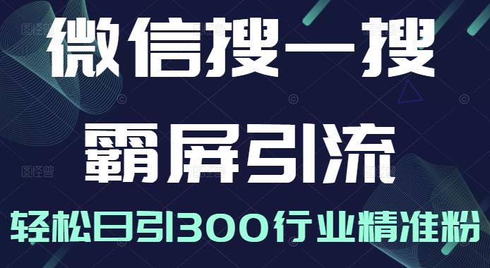 微信搜一搜霸屏引流课，打造被动精准引流系统，轻松日引300行业精准粉【无水印】-学途在线