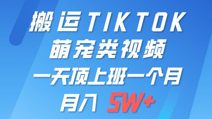 一键搬运TIKTOK萌宠类视频 一部手机即可操作 所有平台均可发布 轻松月入5W+-学途在线
