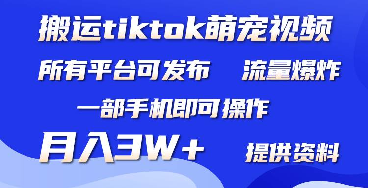 搬运Tiktok萌宠类视频，一部手机即可。所有短视频平台均可操作，月入3W+-学途在线