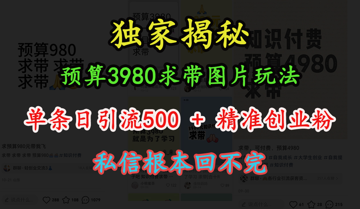 “小红书”预算3980求带 图片玩法，单条日引流500+精准创业粉，私信根本回不完-学途在线