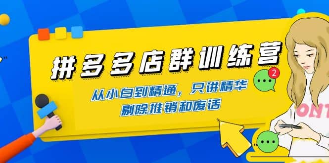 拼多多店群训练营：从小白到精通，只讲精华，剔除推销和废话-学途在线