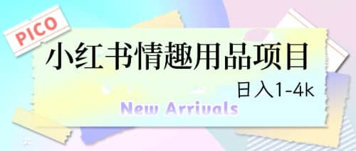 最新小红书情趣用品项目，日入1-4k-学途在线
