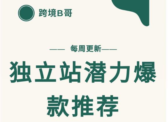 【跨境B哥】独立站潜力爆款选品推荐，测款出单率高达百分之80（每周更新）-学途在线