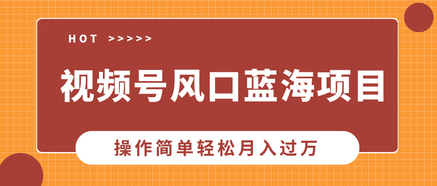 视频号风口蓝海项目，中老年人的流量密码，操作简单轻松月入过万-学途在线