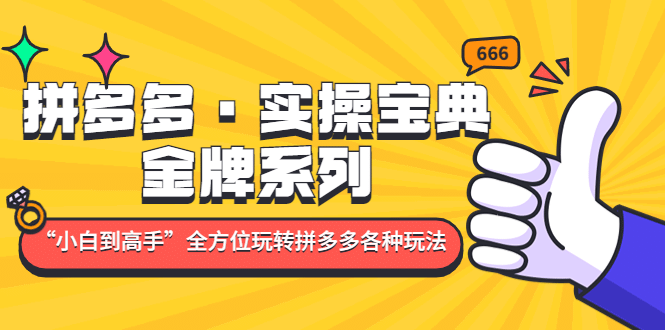 拼多多·实操宝典：金牌系列“小白到高手”带你全方位玩转拼多多各种玩法-学途在线