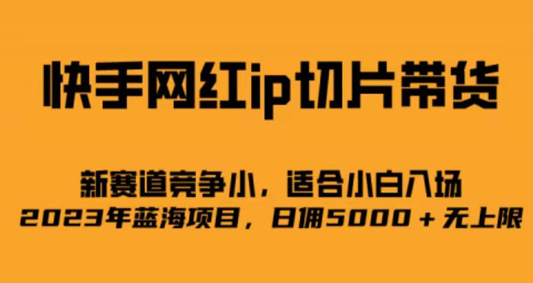 快手网红ip切片新赛道，竞争小事，适合小白 2023蓝海项目-学途在线