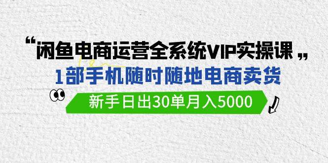 闲鱼电商运营全系统VIP实战课，1部手机随时随地卖货，新手日出30单月入5000-学途在线