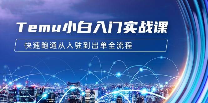 Temu小白入门实战课：跨境拼多多电商培训 快速跑通从入驻到出单全流程-12节-学途在线
