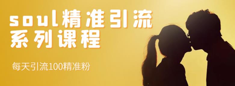 soul精准引流系列课程，每天引流100精准粉-学途在线