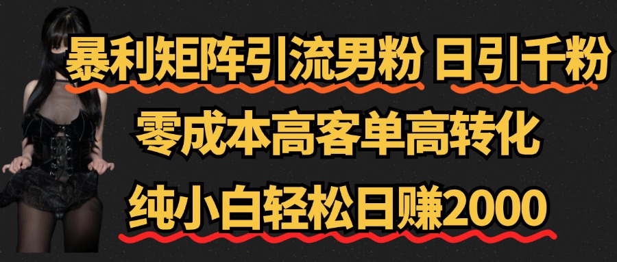 暴利矩阵引流男粉（日引千粉），零成本高客单高转化，纯小白轻松日赚2000+-学途在线