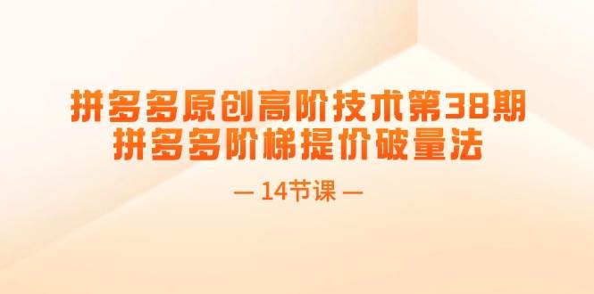 拼多多原创高阶技术第38期，拼多多阶梯提价破量法（14节课）-学途在线