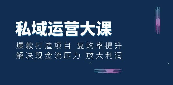 私域运营大课：爆款打造项目 复购率提升 解决现金流压力 放大利润-学途在线