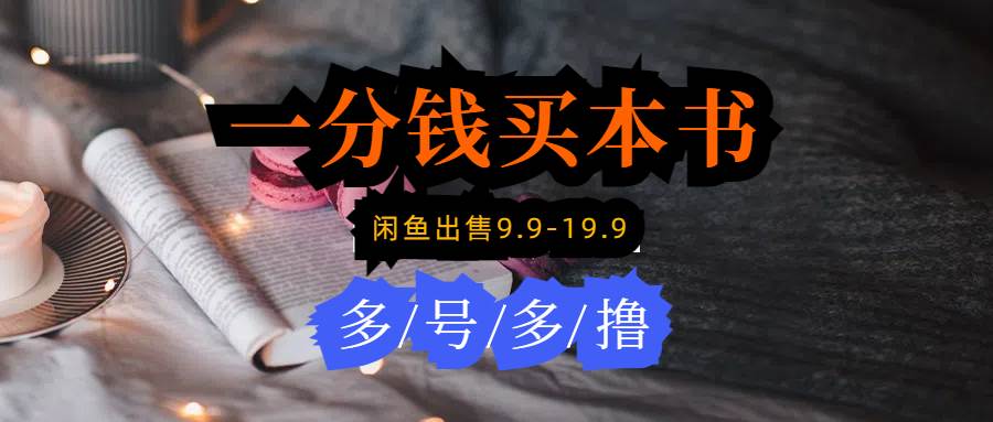 每天花1分钱买一本书，闲鱼出售9.9-19.9不等，多账号多撸 新手小白均可操作-学途在线